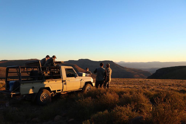 Picture of Truck on Safari